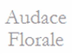 Audace florale et Gatsby, Chantilly - Horaires d'ouverture
