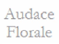 Audace florale et Gatsby, Chantilly - Horaires d'ouverture