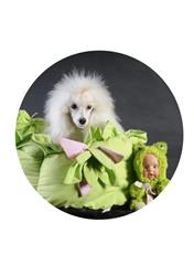 A L'eau Les Chiens, Graulhet - Horaires d'ouverture