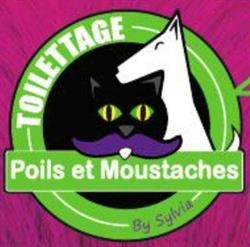 Poils et Moustaches, Wailly - Horaires d'ouverture
