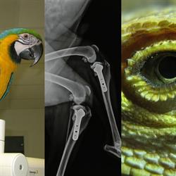 CLINIQUE VETERINAIRE DE l'OLIVIER (Dr MARIANI, Dr FORDELLONE, Dr SAFFIRIO, Dr LIOUTAUD, Dr DUFOUR)), Avignon - Horaires d'ouverture