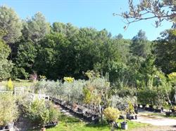Les Jardins De Mathilde, Auriol - Horaires d'ouverture