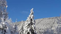 La Taiga (Vercors-Evasion), Villard-de-Lans - Horaires d'ouverture