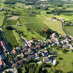 Le Caveau Bugiste, Vongnes - Horaires d'ouverture