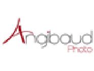 Angibaud Photo SARL, Lys-Haut-Layon - Horaires d'ouverture