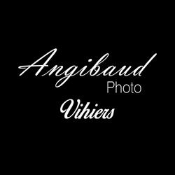 Angibaud Photo SARL, Lys-Haut-Layon - Horaires d'ouverture