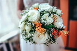 Photographe mariage Dunkerque Albano Franzoso, - Horaires d'ouverture