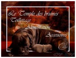 LE TEMPLE DES BRUMES, Bagnolet - Horaires d'ouverture