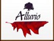 Alluvio, Angers - Horaires d'ouverture