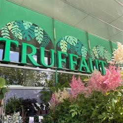 Truffaut, Boulogne-Billancourt - Horaires d'ouverture