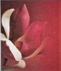 Marion Pietain, Gap - Horaires d'ouverture