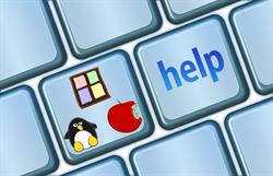 IT Advisor, Léguevin - Horaires d'ouverture