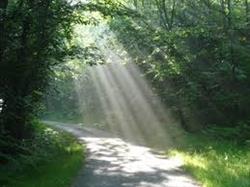 Sur le Chemin de Sophie, Agen - Horaires d'ouverture