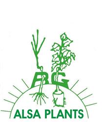 R. GILG et succ Alsaplants, Wettolsheim - Horaires d'ouverture