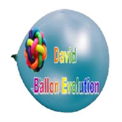 David Ballon Evolution, Nassandres - Horaires d'ouverture