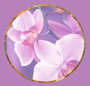 massage chinois et soins énergétiques, Lyon - Horaires d'ouverture