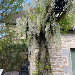 La Rocca, Torpes - Horaires d'ouverture