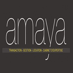 Agence AMAYA Gestion immobilier, Pau - Horaires d'ouverture