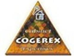 Cogerex Diagnostics Immobiliers, Dijon - Horaires d'ouverture