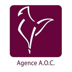 Animation Organisation Communication (A.O.C), Bourg-en-Bresse - Horaires d'ouverture