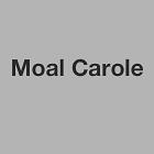 Moal Carole, Plouvien - Horaires d'ouverture
