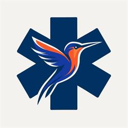 Ambulance Maena (Transport allongé uniquement), Saint-Amand-les-Eaux - Horaires d'ouverture