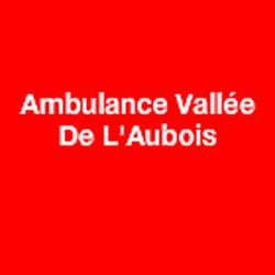 Ambulance Vallée De L'Aubois SARL, La Guerche-sur-l'Aubois - Horaires d'ouverture