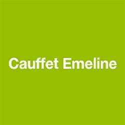 Cauffet Emeline, Beauchamp - Horaires d'ouverture