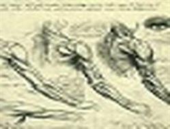 Quentin Gadrat - Ostéopathe Tours-2-Lions, - Horaires d'ouverture