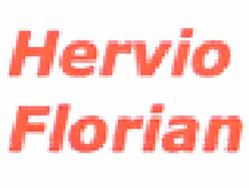 Hervio Florian, Vannes - Horaires d'ouverture