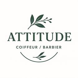 Attitude coiffure, Braud-et-Saint-Louis - Horaires d'ouverture
