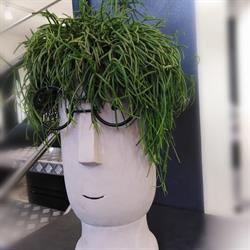 FOCH COIFFURE & BEAUTE, Tournon-sur-Rhône - Horaires d'ouverture