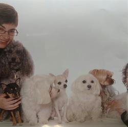 Au Caprice du Chien, Paris - Horaires d'ouverture