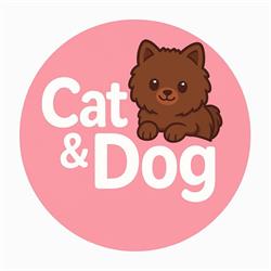 Cat and Dog, Serris - Horaires d'ouverture