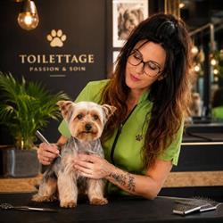 Hollywood Dog, Vire-Normandie - Horaires d'ouverture