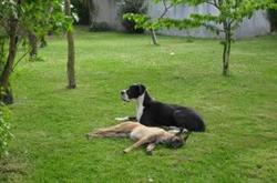 Le Domaine Calin, Chelles - Horaires d'ouverture