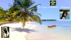 Madagascar Paradise, Saint-Égrève - Horaires d'ouverture