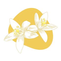 Fleur D Oranger, Bergerac - Horaires d'ouverture