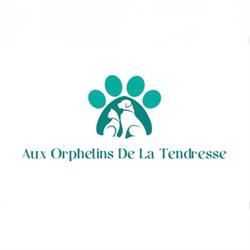 Aux Orphelins de la Tendresse - Animalerie, Coulommiers - Horaires d'ouverture