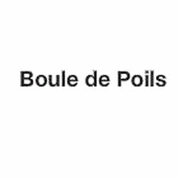 BOULE DE POILS, Le Mans - Horaires d'ouverture
