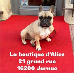 La boutique d'Alice, Jarnac - Horaires d'ouverture