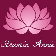 STRUMIA ANNIE, La Salvetat-Saint-Gilles - Horaires d'ouverture