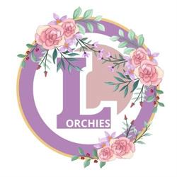 E.Leclerc Borne Électrique, Orchies - Horaires d'ouverture