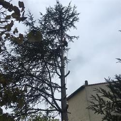Gebel Espaces Verts, Saint-Laurent-de-Mure - Horaires d'ouverture
