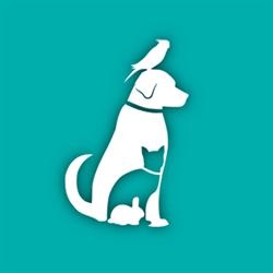 Maisonimaux Services Plus, Saint-Loup-Cammas - Horaires d'ouverture