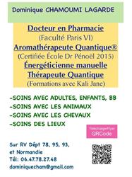 DOMINIQUE CHAMOUMI, Maisons-Laffitte - Horaires d'ouverture