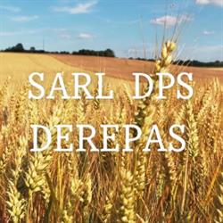 DPS DEREPAS, Savigny-sous-Mâlain - Horaires d'ouverture
