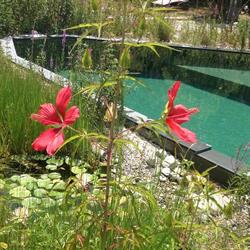 Villa les Hespérides (piscine naturelle), Grimaud - Horaires d'ouverture