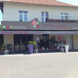 Lola Fleurs, Alès - Horaires d'ouverture