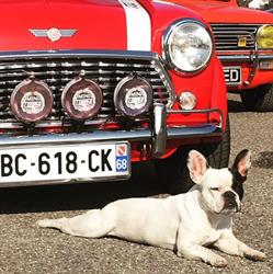 Garage JLS, Colmar - Horaires d'ouverture